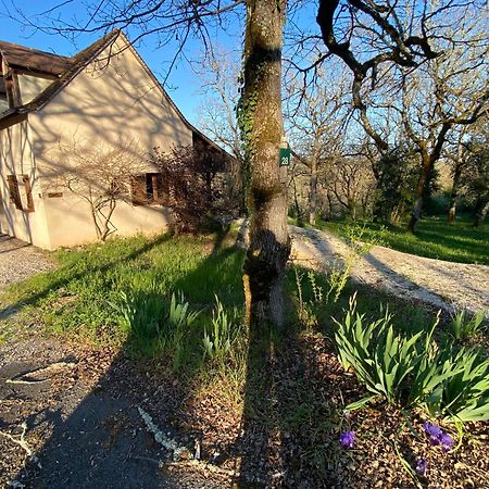 Вілла Domaine De Gayfie Salvagnac-Cajarc Екстер'єр фото